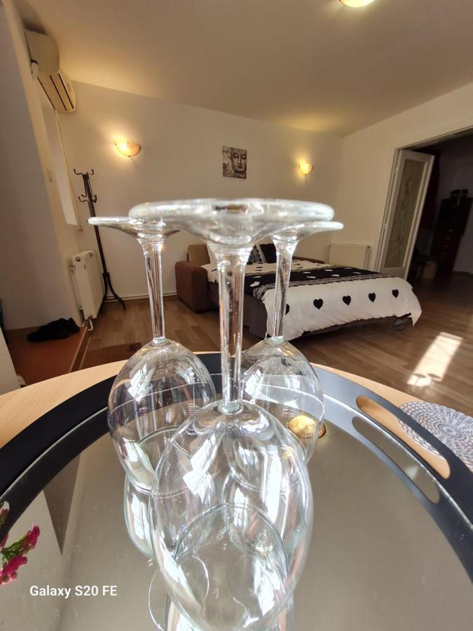 Ambient Cismigiu Apartment Bucureşti Ngoại thất bức ảnh