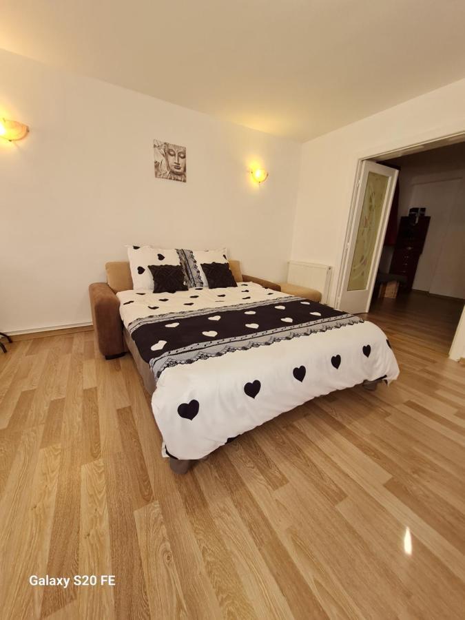 Ambient Cismigiu Apartment Bucureşti Ngoại thất bức ảnh